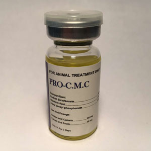 AICAR 10 ml