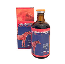 Antianemico Sport Horse 100ml