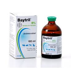 Baytril 5% 100 ml Bayer