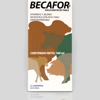 Becafor Schütze-Segen 250ml