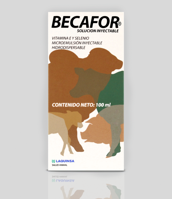 Becafor Schütze-Segen 250ml