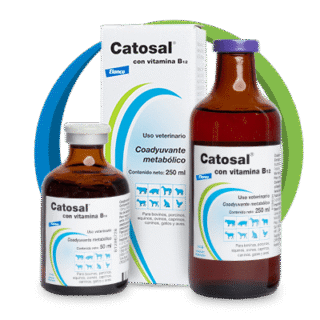Catosal Bayer 50ml