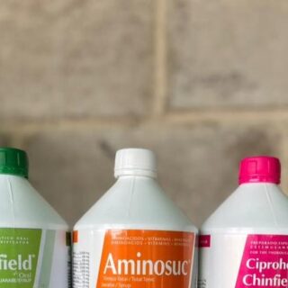 Ciproheptadina Chinfield Bottle x 1000 ml (ARG)