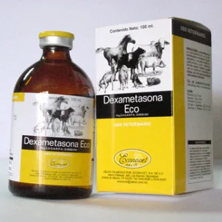 DEXAMETASONA ECO Econovet 100ml