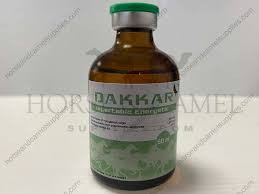 Dakkar 50ml