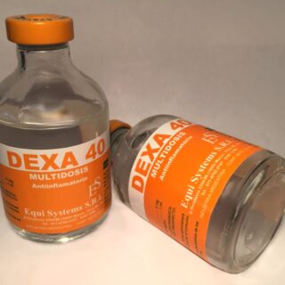 Dexa 40 EquiSystems 50ml (ARG)