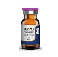 Dexhal 2 Halvet 10ml