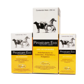 Eclipse Econovet 100ml