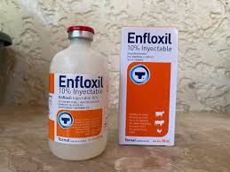 Enfloxil 10%v Tornel 100ml