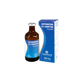 GENTAMICINA 8% EquiSystems 250ml (ARG)
