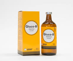 Gluco B Nort 500ml (ARG)