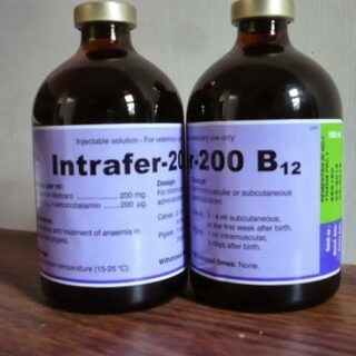 Intrafer 200 B12 100ml