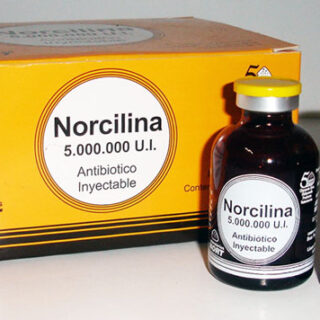 Norcilina x 5.000.000UI Nort Box containing 6 bottles (ARG)
