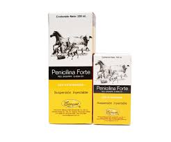 Penicilina Estreptomicina Econovet 250ml