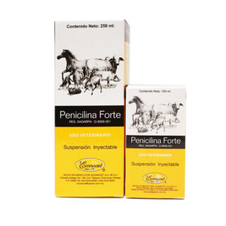 Penicilina Forte Econovet 100ml