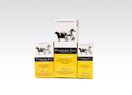 Piroxicam Eco Econovet 100ml