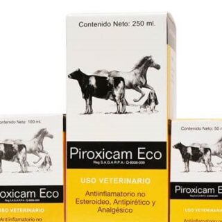 Piroxicam Eco Econovet 250ml