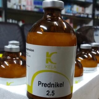 Prednikel 2.5 100ml