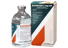 Rapidexon 100ml (Eurovet)