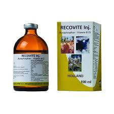 Recovit 50 ml