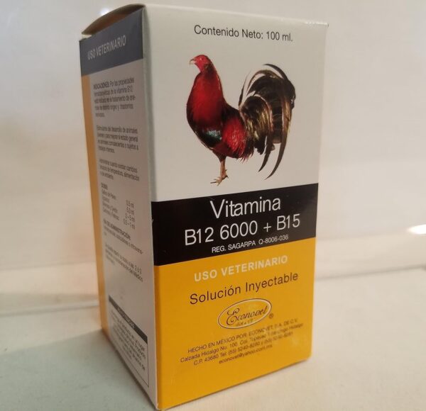 Vitamina B12-6000-B15 Econovet 100ml