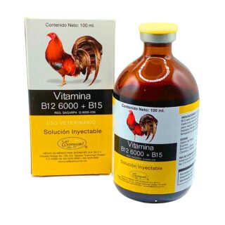 Vitamina B12-6000-B15 Econovet 100ml