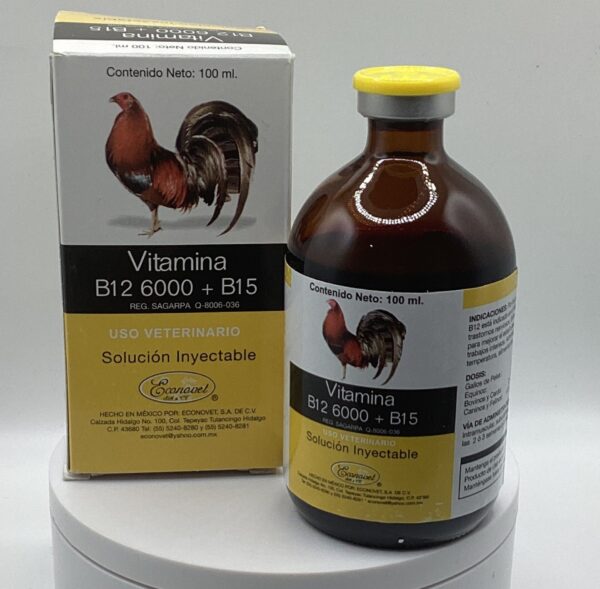 Vitamina B12-6000-B15 Econovet 100ml - Image 3
