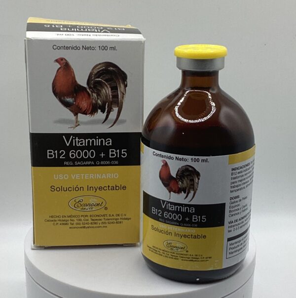 Vitamina B12-6000-B15 Econovet 30ml