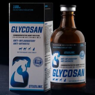 GLYCOSAN 100ml Studline Glucosamine Hydrochloride 200 mg/ml