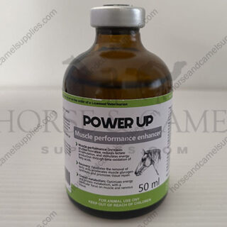 Power Up - 50 ml (new 2024)