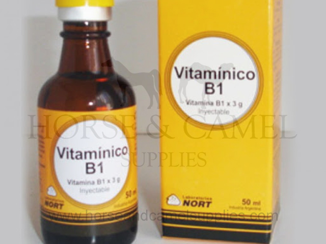 Vitaminico B1 x 3 g. - Nort - 50ml (ARG)